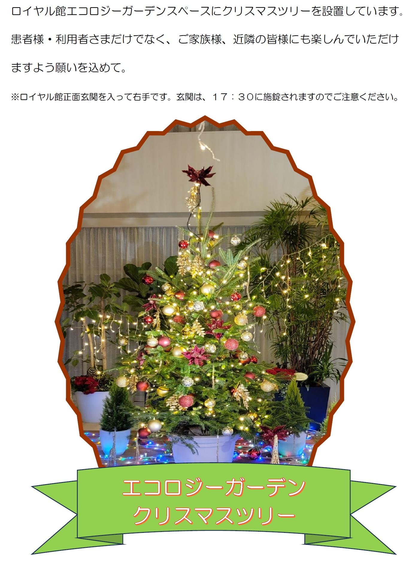 エコロジーガーデンクリスマスツリーjpg.jpg