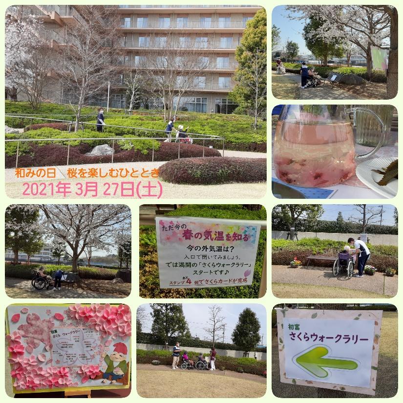 桜WR-2.jpg